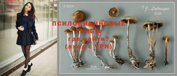 не бодяженный Чекалин