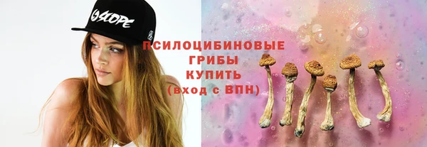 МДПВ Нязепетровск