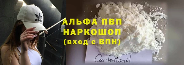 твердый Няндома