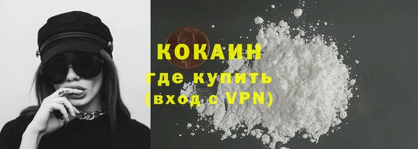 твердый Няндома