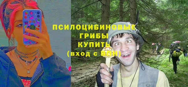 твердый Няндома
