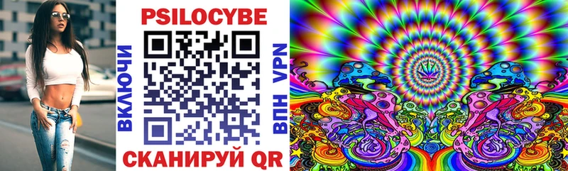 blacksprut ссылка  Константиновск  Галлюциногенные грибы Cubensis 